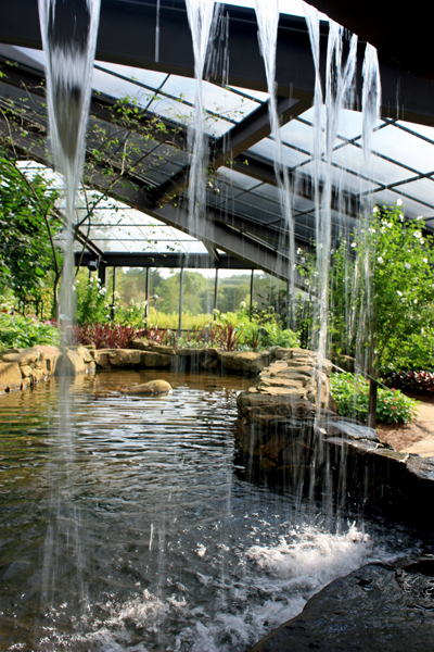 waterfall in the Butterfly Garden