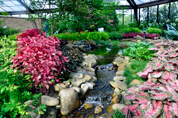 beauty in teh Butterfly Garden