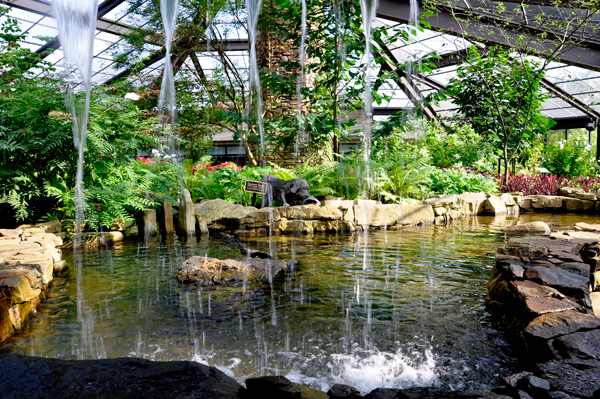 waterfall in the Butterfly Garden