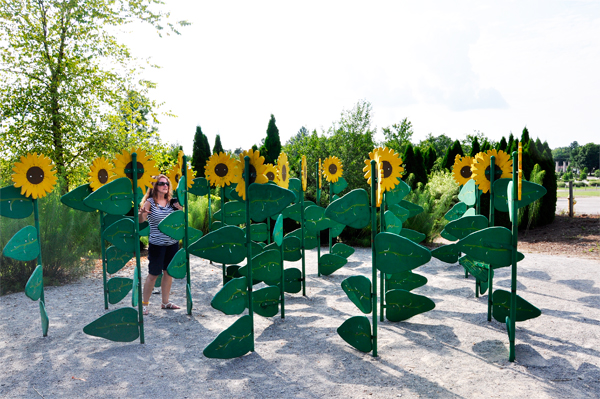 Karen Duquette's sister in amongst the sunflowers