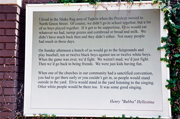 story of Elvis by Bubba