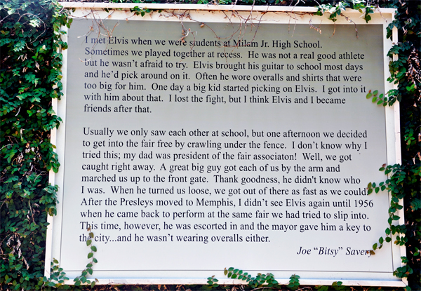 story of Elvis by Joe