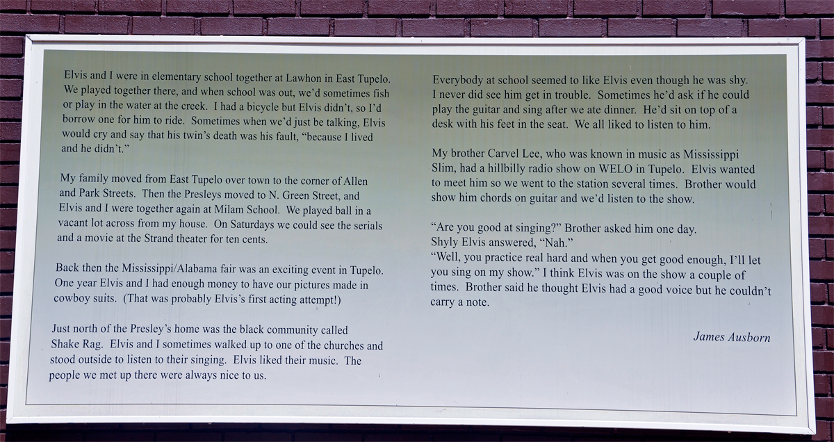 story of Elvis by James Ausborn