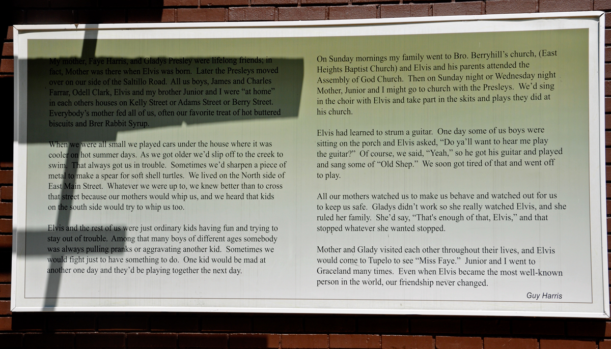 story of Elvis by Guy Harris