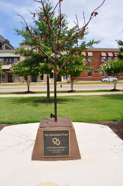 Alzheimer's Tree