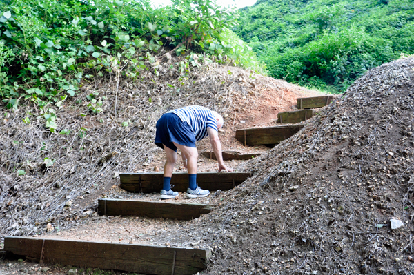 Lee struggling with steps