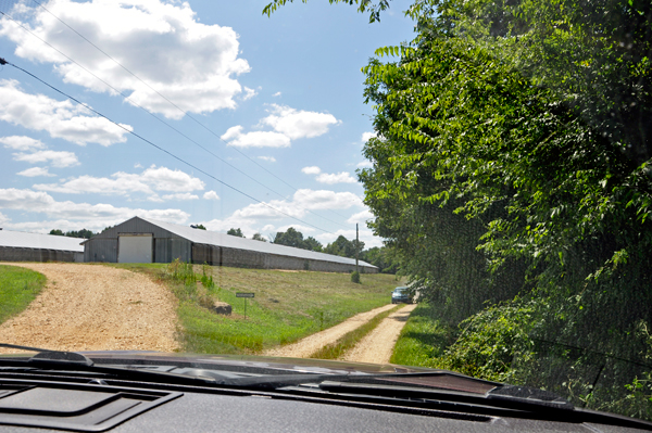 the dirt road leading to Cane Creek Canyon Preserve