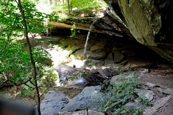 the bottom of the waterfall