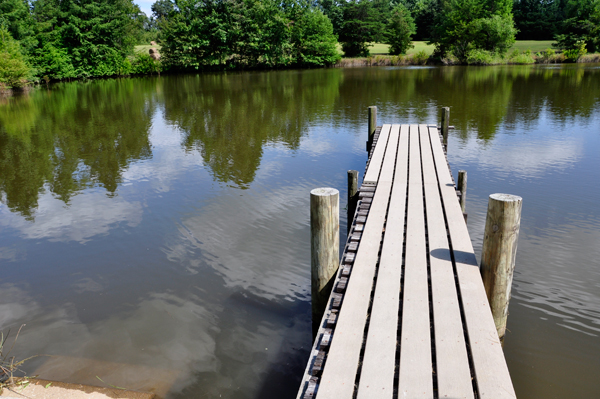 pond and dock