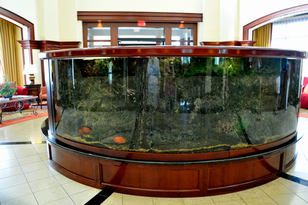 a large curved fish tank