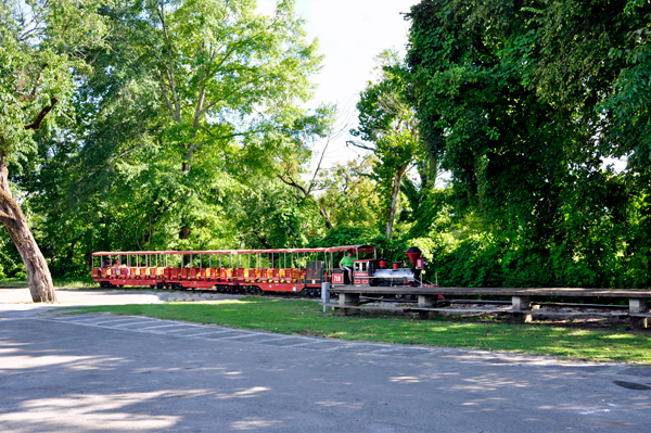 train ride at Spring Park