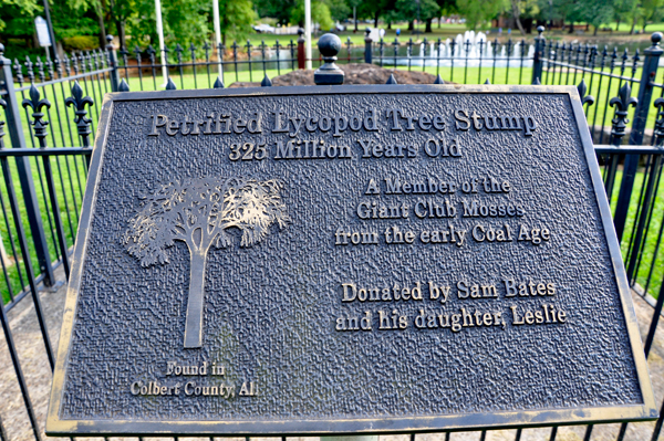 petrified tree stump sign