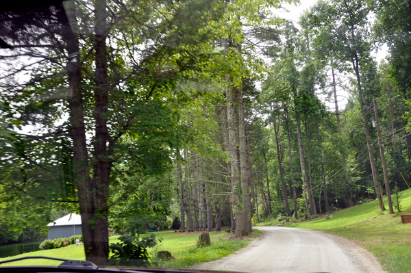 cruvy dirt road