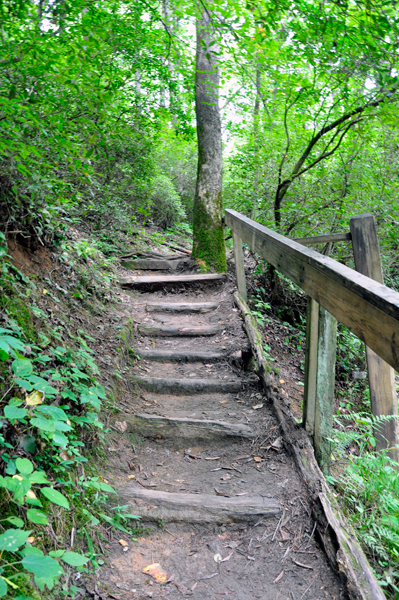 a set of stairs with a hand-railing 