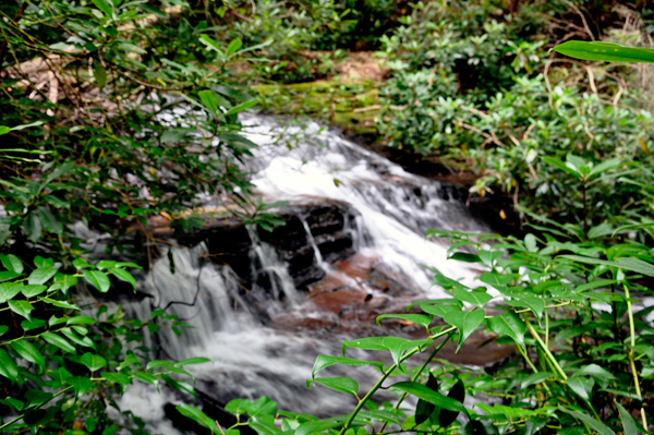 a 10-foot high cascade