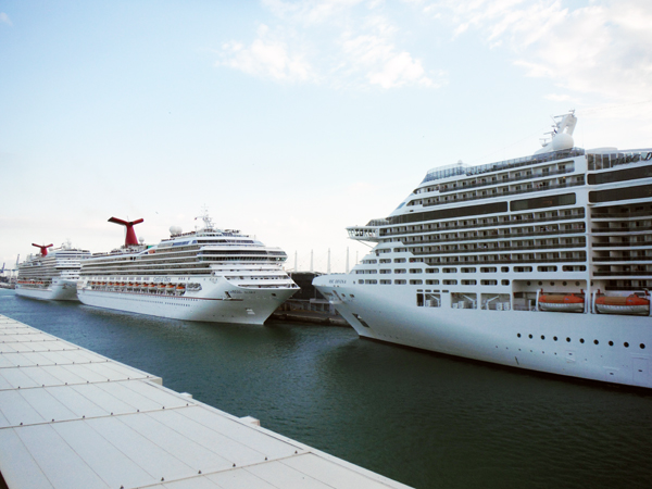 other cruise ships docked at the Port of Miami 