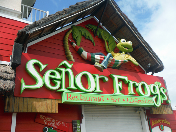 Senor Frog's