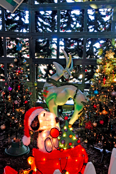 INSIDE the large Christmas Tree