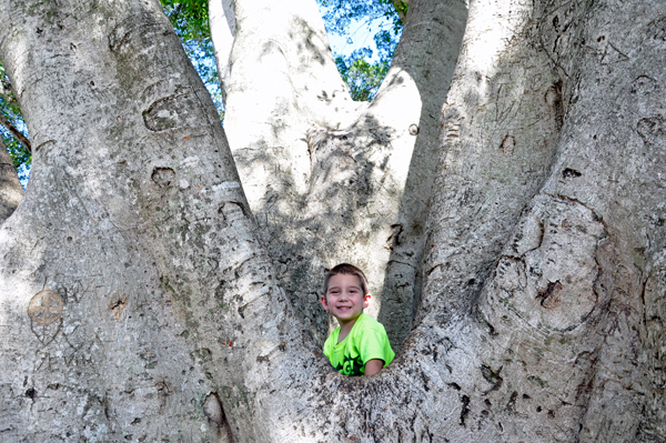 the great-grandson of the two RV Gypsies