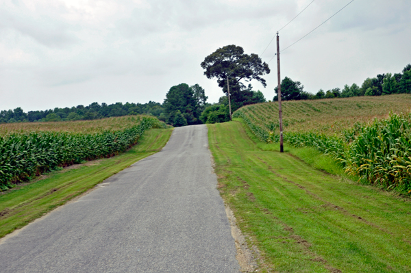 The road just before entering Chesapeake Bay RV Resort