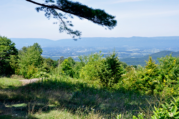 view from scenic overlook