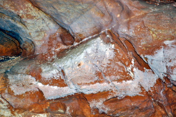 Anthodites