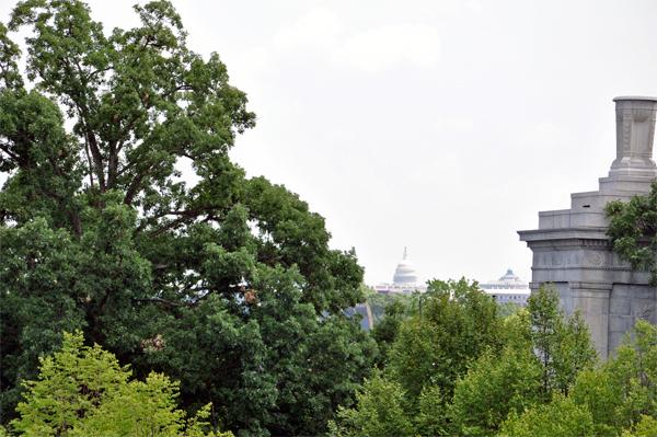 view from the Upper Terrace