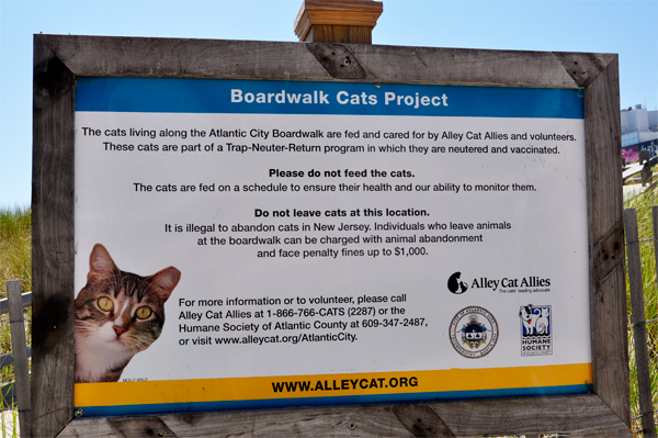 sign about the Boardwalk Cats Project