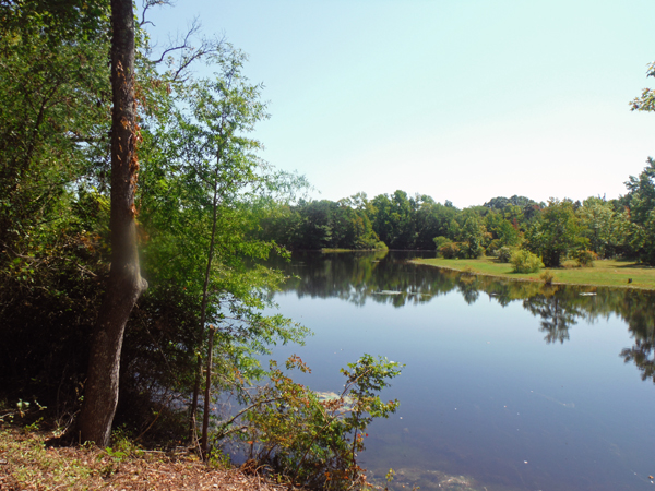 view from the RV 