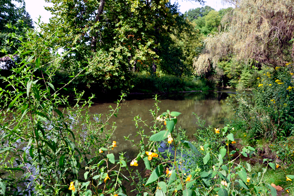 view from Bogart's Covered Bridge