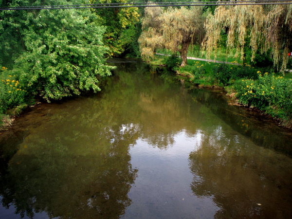 view from Bogart's Covered Bridge