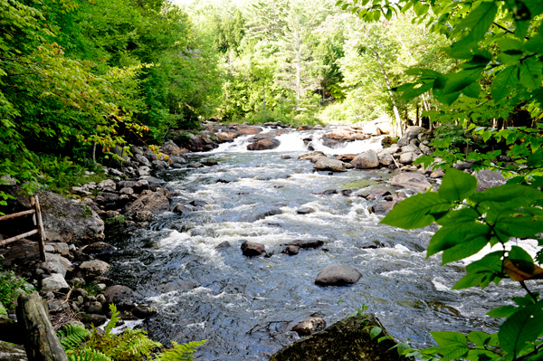 view of the brook