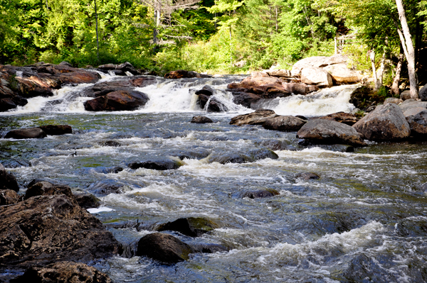 view of the brook