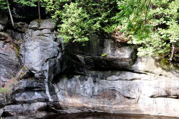 Elephant's Head and the Oyster Shell