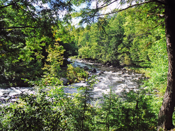 Trout Brook