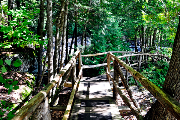 The trail leading to the Meditation Isle.