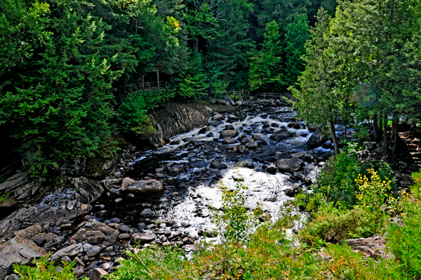 Trout Brook again