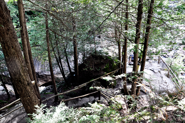 view from Lookout Point