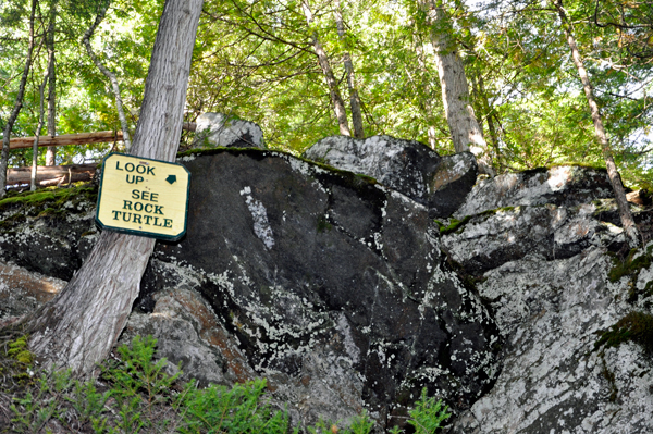 sign: look up