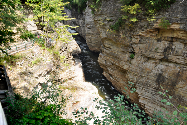 view from the Inner Sanctum trail