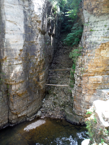 view from the left side of the bridge