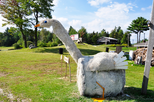 goose haystack