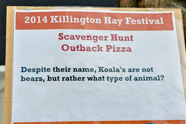 koala trivia sign