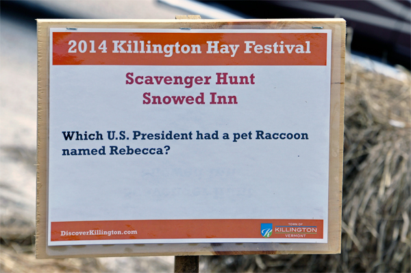 racoon trivia sign