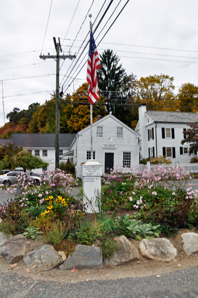 flower garden