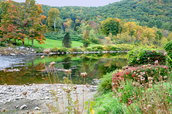 autumn colors