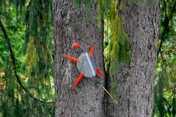 a metal bug on a tree