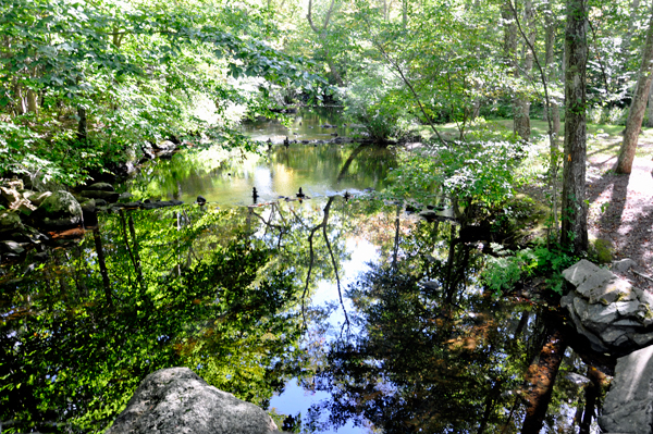 view from the side of the covered bridge