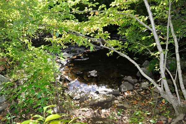 a very small fall through the trees