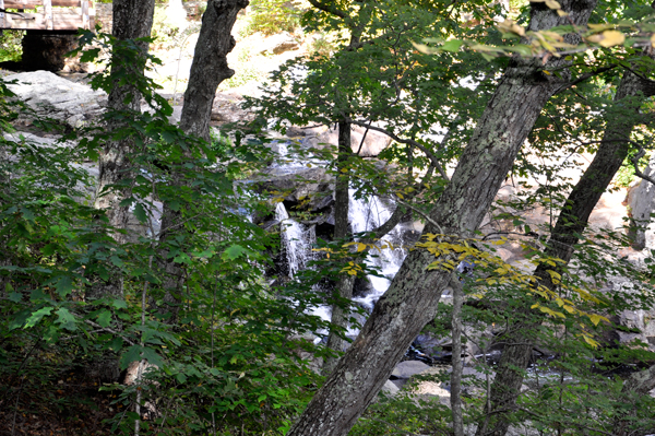 Chapman Falls thru the trees